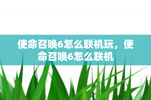 使命召唤6怎么联机玩，使命召唤6怎么联机