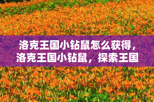 洛克王国小钻鼠怎么获得，洛克王国小钻鼠，探索王国中的奇妙冒险