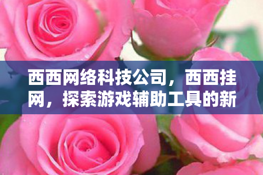 西西网络科技公司，西西挂网，探索游戏辅助工具的新世界