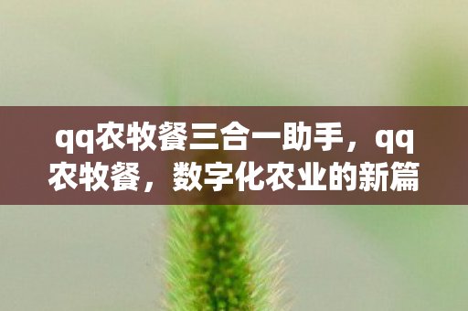 qq农牧餐三合一助手，qq农牧餐，数字化农业的新篇章