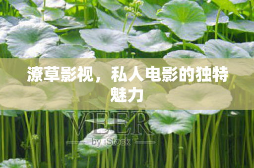 潦草影视，私人电影的独特魅力