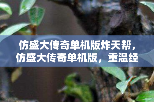 仿盛大传奇单机版炸天帮，仿盛大传奇单机版，重温经典，独享传奇