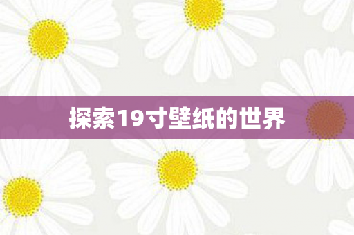 探索19寸壁纸的世界