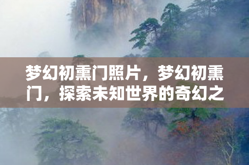 梦幻初熏门照片，梦幻初熏门，探索未知世界的奇幻之旅