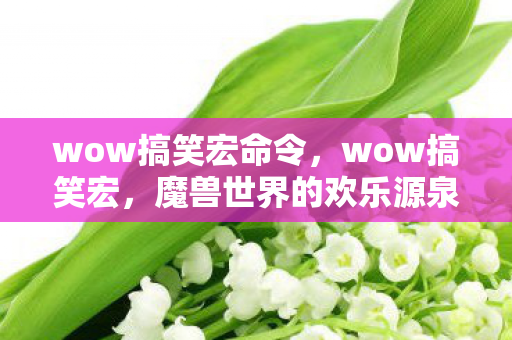wow搞笑宏命令，wow搞笑宏，魔兽世界的欢乐源泉