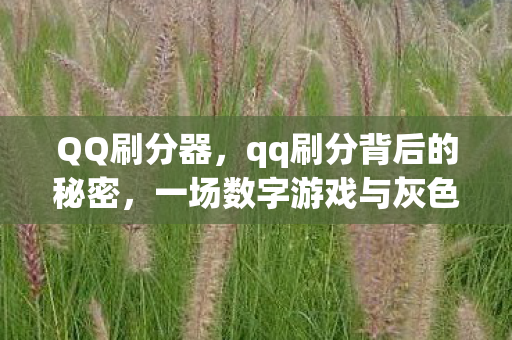 QQ刷分器，qq刷分背后的秘密，一场数字游戏与灰色产业的交织