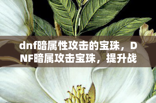 dnf暗属性攻击的宝珠，DNF暗属攻击宝珠，提升战斗力的神秘法宝
