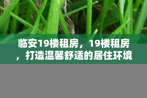 临安19楼租房，19楼租房，打造温馨舒适的居住环境