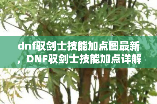 dnf驭剑士技能加点图最新，DNF驭剑士技能加点详解，打造高效战斗力的关键
