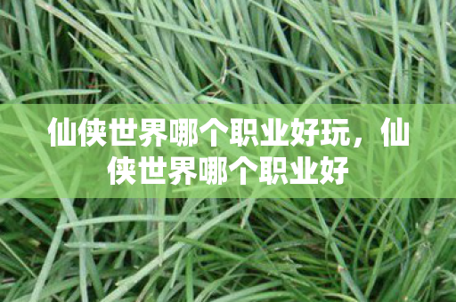 仙侠世界哪个职业好玩，仙侠世界哪个职业好