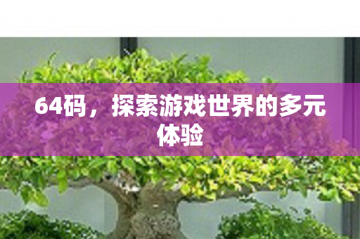 64码，探索游戏世界的多元体验