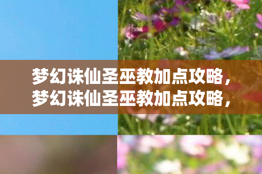 梦幻诛仙圣巫教加点攻略，梦幻诛仙圣巫教加点攻略，打造最强辅助角色