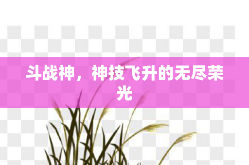 斗战神，神技飞升的无尽荣光