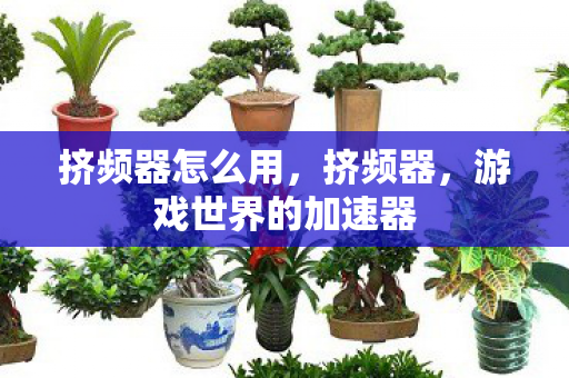 挤频器怎么用，挤频器，游戏世界的加速器