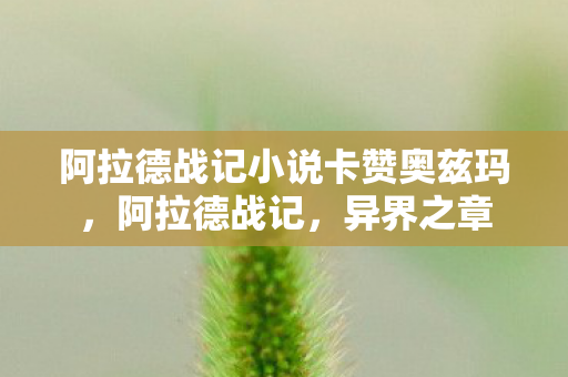 阿拉德战记小说卡赞奥兹玛，阿拉德战记，异界之章