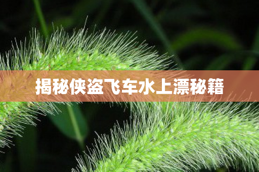 揭秘侠盗飞车水上漂秘籍