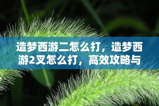 造梦西游二怎么打，造梦西游2叉怎么打，高效攻略与技巧分享