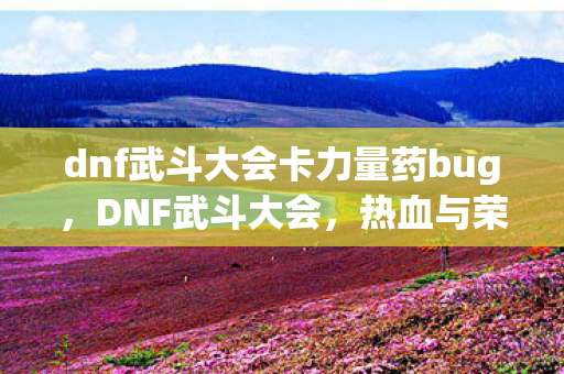 dnf武斗大会卡力量药bug，DNF武斗大会，热血与荣耀的竞技场