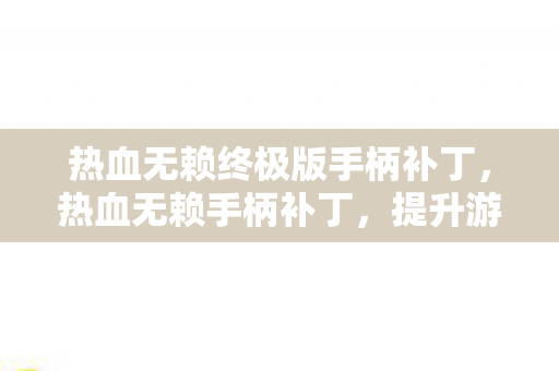 热血无赖终极版手柄补丁，热血无赖手柄补丁，提升游戏体验的必备神器
