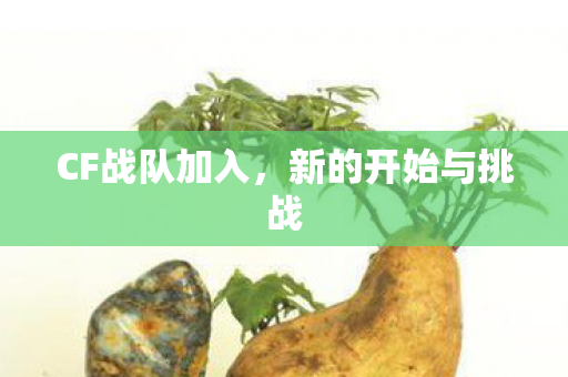 CF战队加入，新的开始与挑战