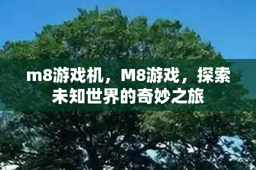 m8游戏机，M8游戏，探索未知世界的奇妙之旅
