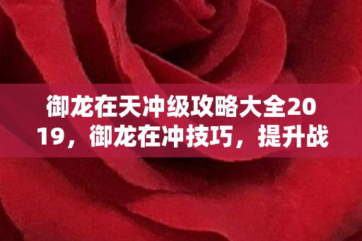 御龙在天冲级攻略大全2019，御龙在冲技巧，提升战斗效率的九大策略