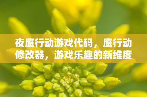 夜鹰行动游戏代码，鹰行动修改器，游戏乐趣的新维度