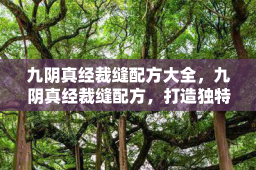 九阴真经裁缝配方大全，九阴真经裁缝配方，打造独特装备，提升角色实力