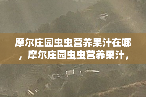 摩尔庄园虫虫营养果汁在哪，摩尔庄园虫虫营养果汁，探索庄园的奇妙饮品