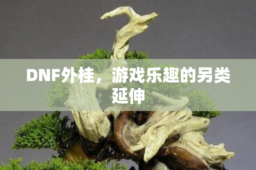 DNF外桂，游戏乐趣的另类延伸