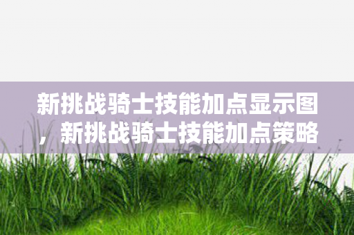 新挑战骑士技能加点显示图，新挑战骑士技能加点策略