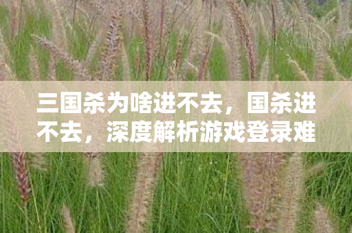 三国杀为啥进不去，国杀进不去，深度解析游戏登录难题与解决方案