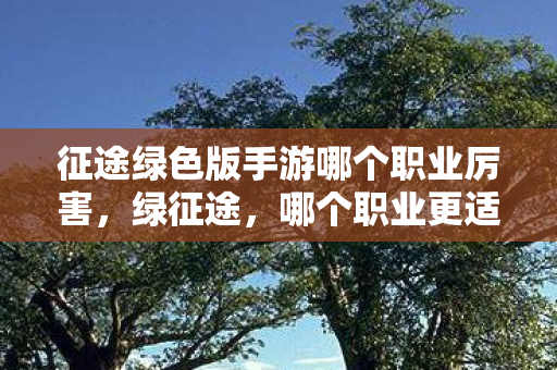 征途绿色版手游哪个职业厉害，绿征途，哪个职业更适合你？