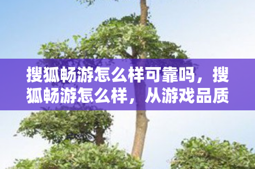搜狐畅游怎么样可靠吗，搜狐畅游怎么样，从游戏品质到用户体验的深度剖析
