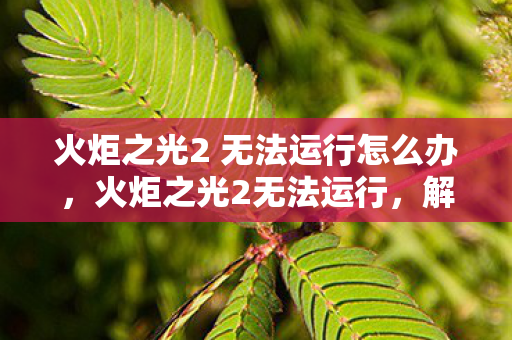 火炬之光2 无法运行怎么办，火炬之光2无法运行，解决游戏启动问题的全面指南