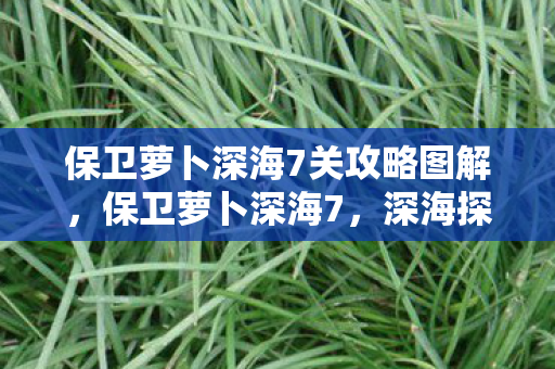 保卫萝卜深海7关攻略图解，保卫萝卜深海7，深海探险与策略塔防的完美结合