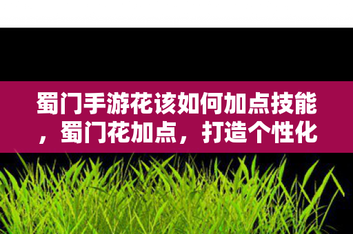 蜀门手游花该如何加点技能，蜀门花加点，打造个性化角色，提升战斗力的关键