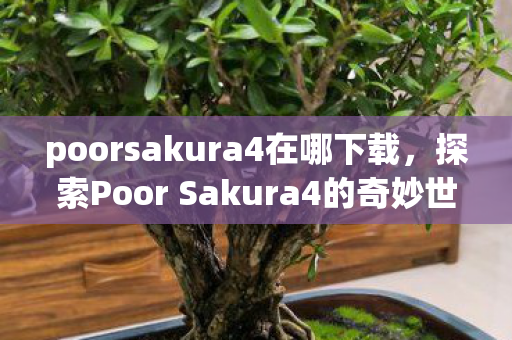 poorsakura4在哪下载，探索Poor Sakura4的奇妙世界，一场虚拟与现实交织的冒险