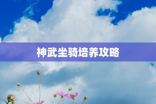 神武坐骑培养攻略