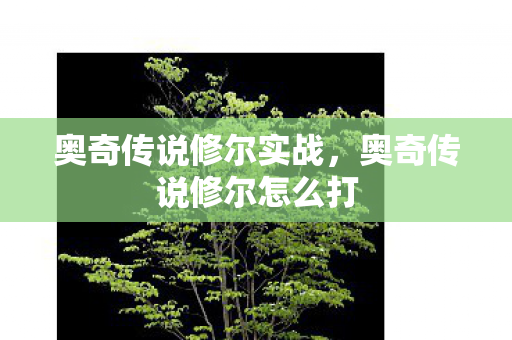 奥奇传说修尔实战，奥奇传说修尔怎么打
