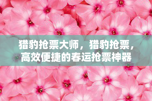 猎豹抢票大师，猎豹抢票，高效便捷的春运抢票神器