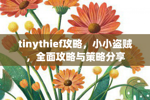 tinythief攻略，小小盗贼，全面攻略与策略分享