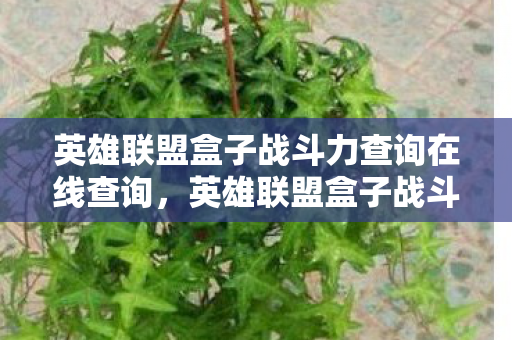 英雄联盟盒子战斗力查询在线查询，英雄联盟盒子战斗力查询，解锁你的游戏实力新高度