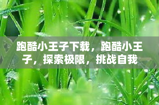 跑酷小王子下载，跑酷小王子，探索极限，挑战自我