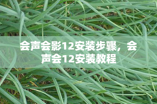 会声会影12安装步骤，会声会12安装教程