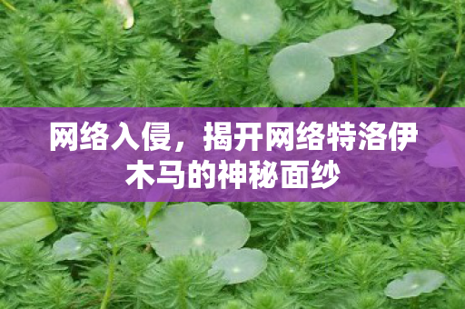 网络入侵，揭开网络特洛伊木马的神秘面纱