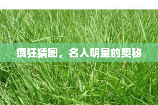 疯狂猜图，名人明星的奥秘