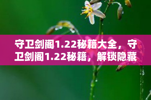 守卫剑阁1.22秘籍大全，守卫剑阁1.22秘籍，解锁隐藏关卡与角色