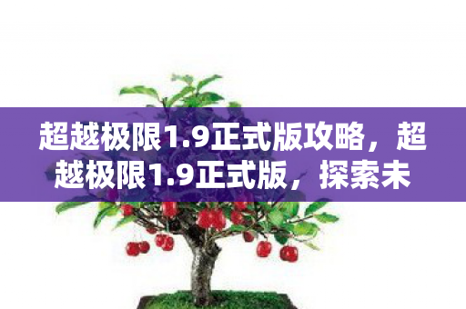 超越极限1.9正式版攻略，超越极限1.9正式版，探索未知，挑战极限