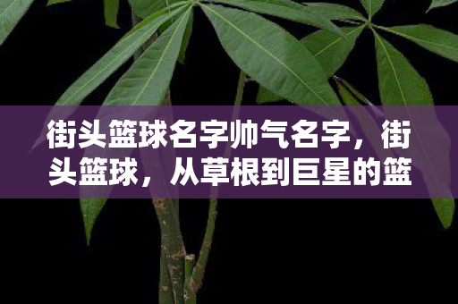 街头篮球名字帅气名字，街头篮球，从草根到巨星的篮球梦
